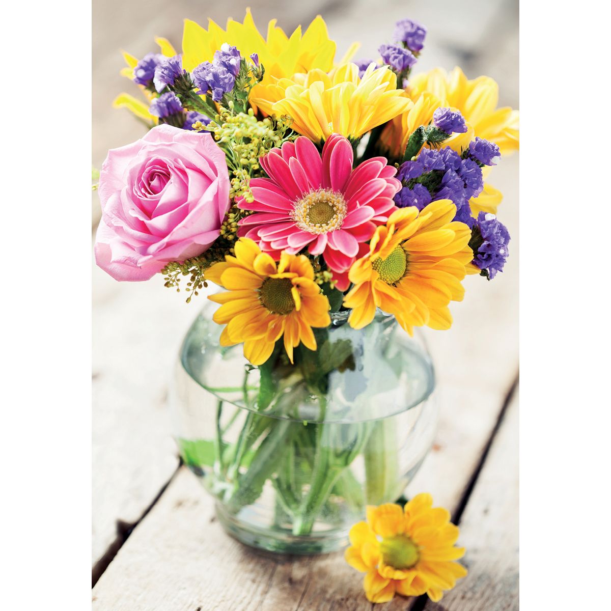 MINI KORT,BLOSTER I VASE,MINIS