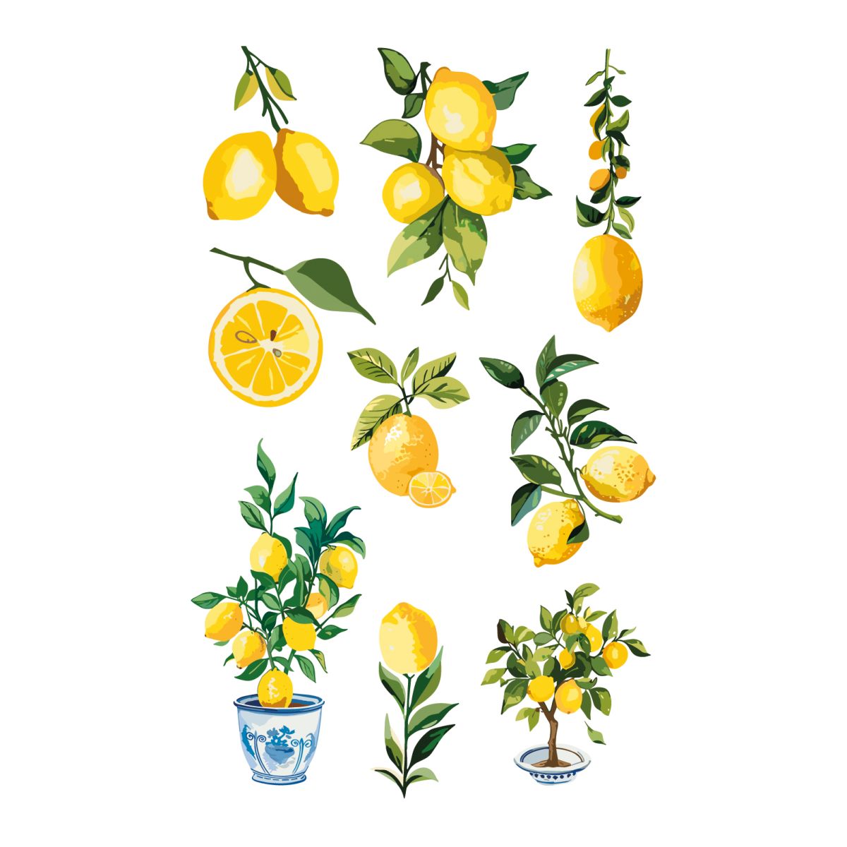 STICKERS SITRONER 3 ARK, BSB