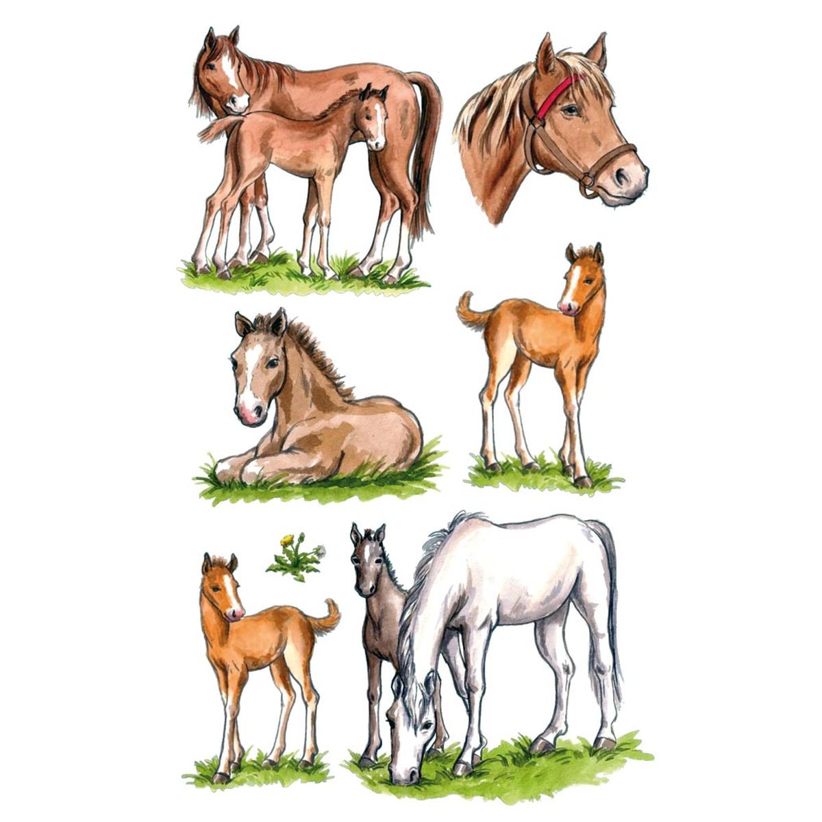 STICKERS DYR, HESTER, 3 ARK, BSB