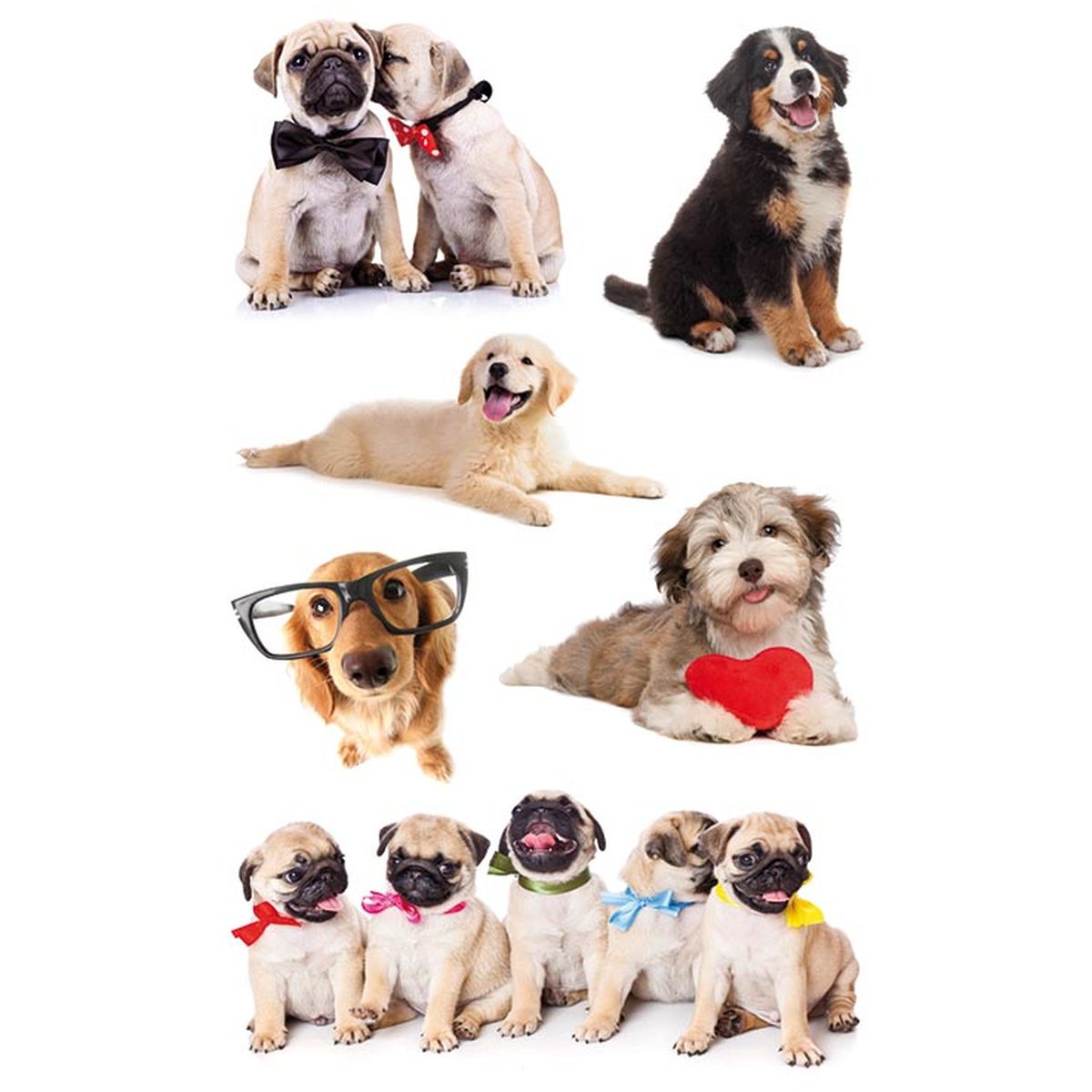 STICKERS SØTE HUNDER, 3 ARK, BSB