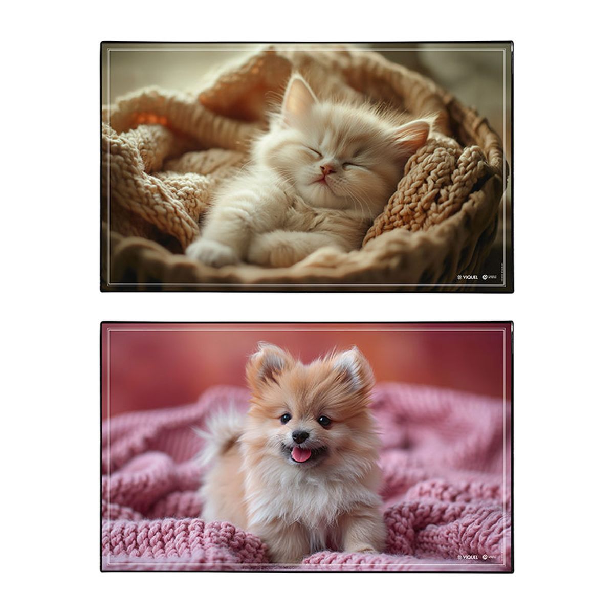 SKRIVEUNDERLAG VIQUEL 2PK HUND & KATT