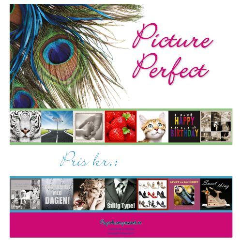 HEADER PICTURE PERFECT